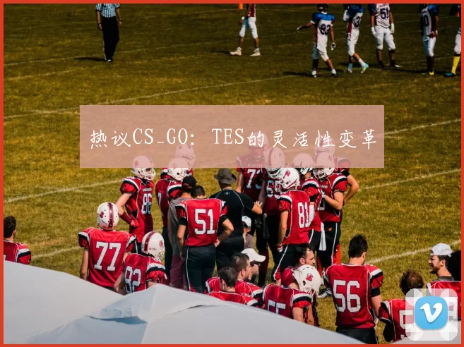 热议CS_GO：TES的灵活性变革