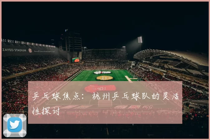 乒乓球焦点：杭州乒乓球队的灵活性探讨